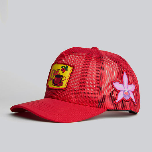 Gorra choco agua y luz