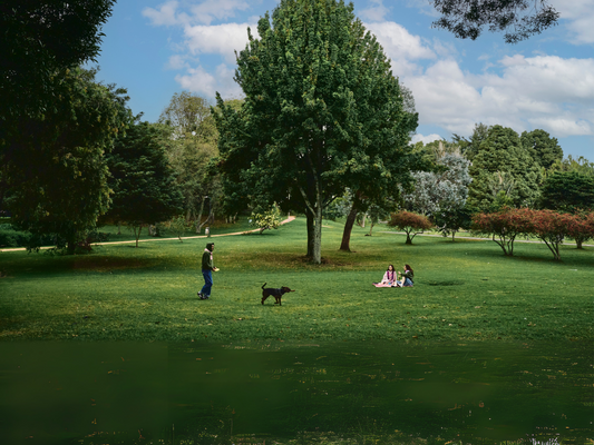 Caramelo: Nuevo lanzamiento