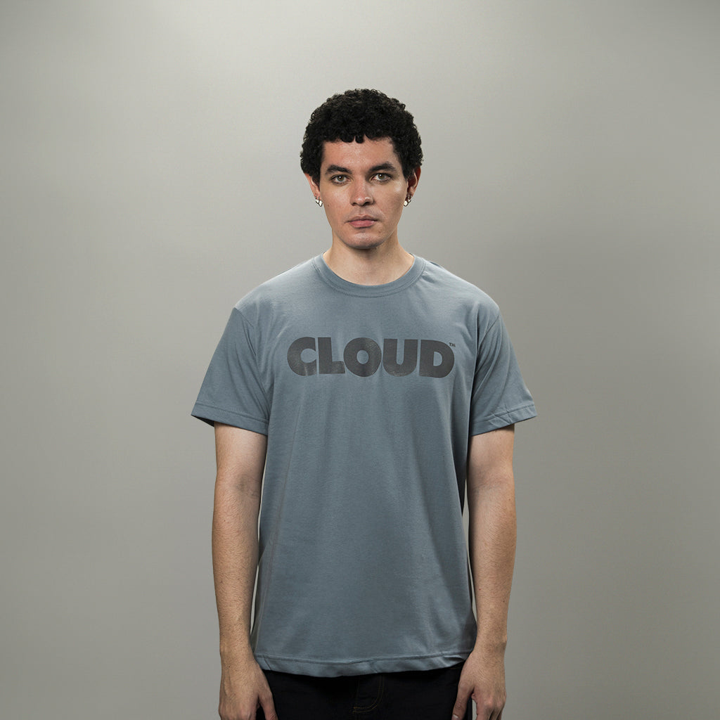 Camiseta BLOCK gris sobre gris regular fit