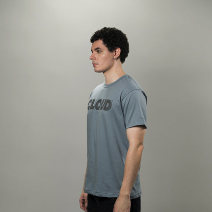 Camiseta BLOCK gris sobre gris regular fit