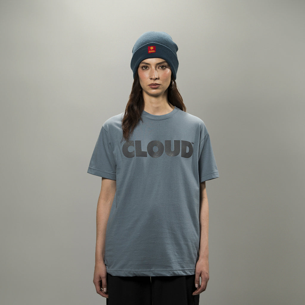 Camiseta BLOCK gris sobre gris regular fit